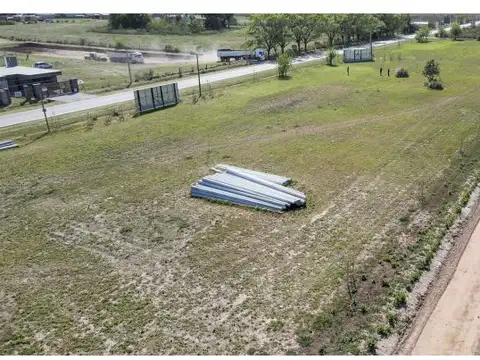 Alfredo Schilla 1000