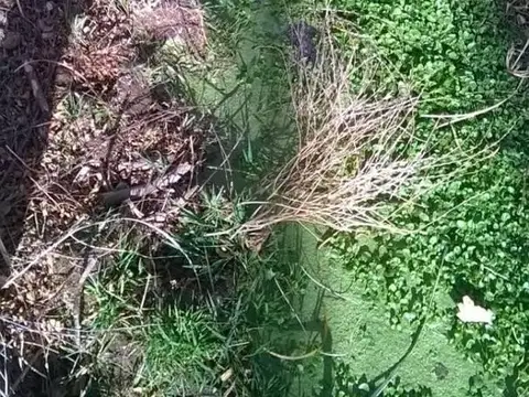 Cachi Adentro Al Pie De Los Cerros De Los Secaderos