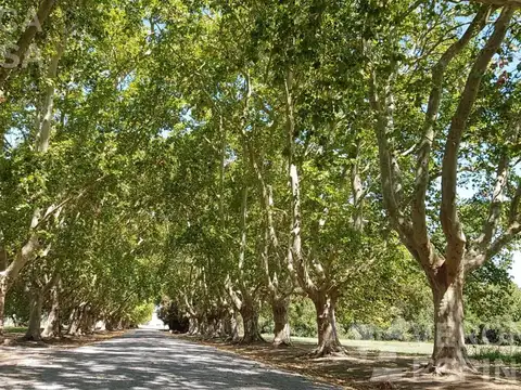 Terreno en Venta en Estancia Villa Maria, USD 40.000