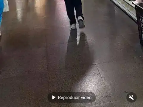 Av Mitre 600, Piso PB