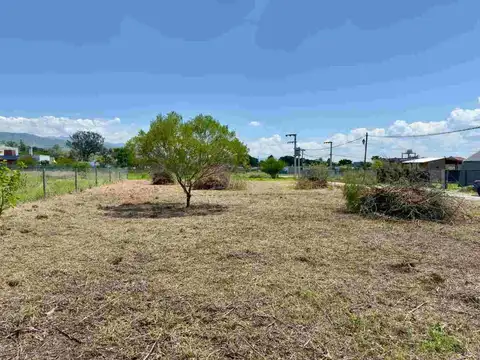 Solares de Ortiz. Avenida Las Alondras. Mza 17 Lote 100