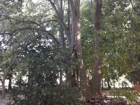 Terreno en Venta en Abasto, USD 30.000