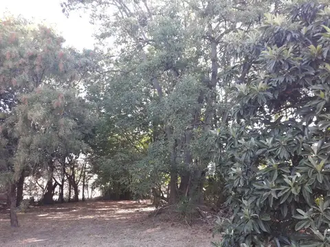 Terreno venta - 20x56mts - 1119mts2 totales - El Rodeo, Abasto, La Plata