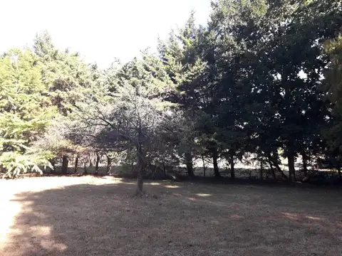 312 e/ 50 y 302 - El Rodeo