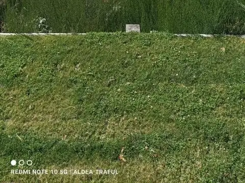 Terreno en Venta de 7000,0 m2