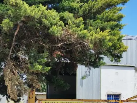 Galpon en Venta 40  mts Fondo