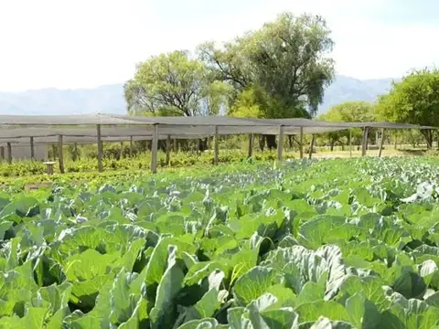 VENTA DE TERRENO EN SAN JAVIER, CÓRDOBA