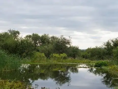 RUTA 14 KILOMETRO 133.5