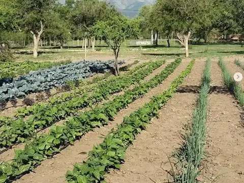 Terreno en Venta de 2500,0 m2