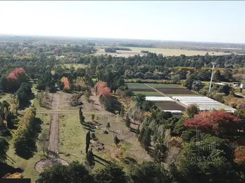 Terreno en Venta de 300,0 m2