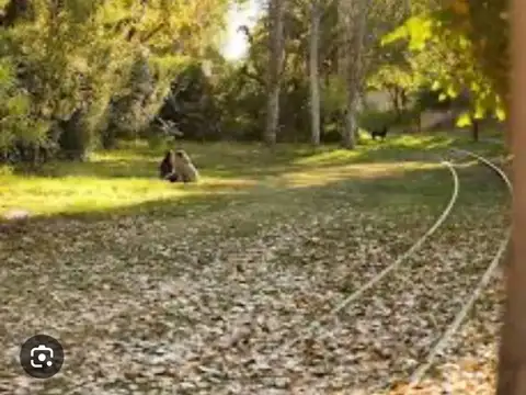 venta lote barrio el remanso chacras OPORTUNIDAD