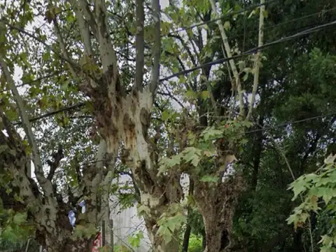 España al 700  - Terreno