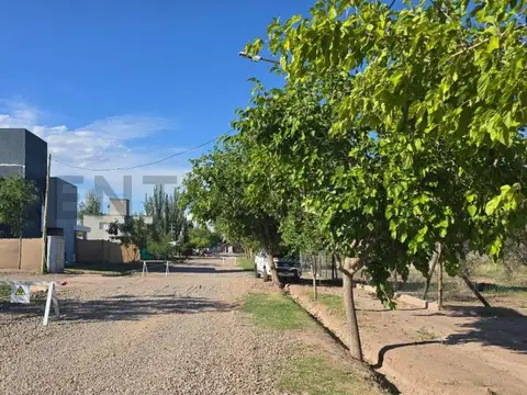 VIDELA CASTILLO 2000, Piso 0