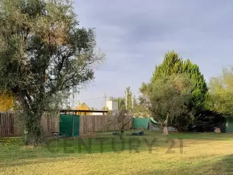 VIDELA CASTILLO 2000, Piso 0