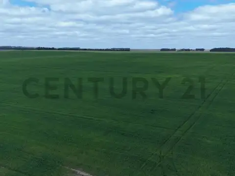 Parcelas 875 E y 875 F , Piso 0