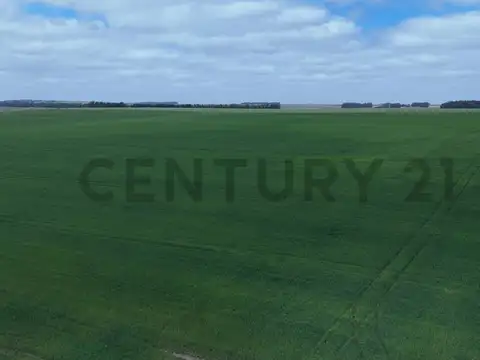 Campo en Venta de 0,02  ha