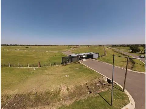 Los Pasos del Jockey 3