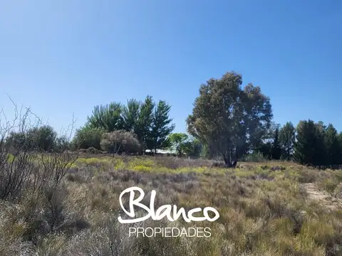 Terreno Campo  en Venta en 25 De Mayo, Puelen, La Pampa - BLA9065_LP583606_2