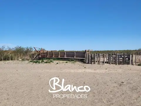 Terreno Campo  en Venta en 25 De Mayo, Puelen, La Pampa - BLA9065_LP583606_2