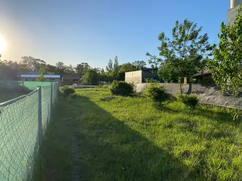 Terreno en Venta de 290,0 m2