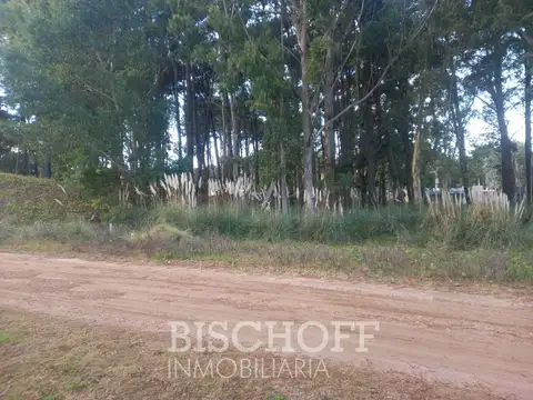 COSTA ESMERALDA , PARTIDO DE LA COSTA