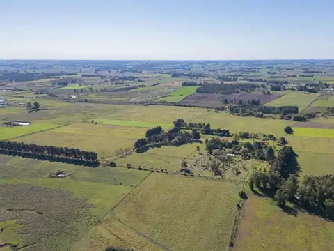 VENTA CAMPO Y DOS CASAS EN CANELONES SAN JACINTO
