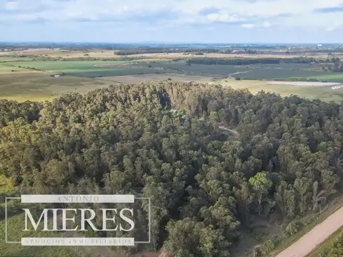 Quinta en Venta en San Carlos, USD 295.000