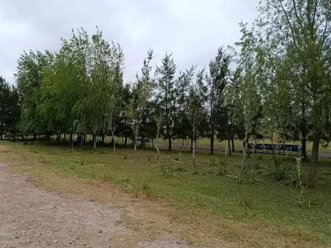 Campo en venta en Cañuelas Rural-Sobre Ruta Nacional Nro. 3 Km 84.5