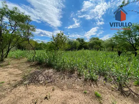 Terreno en Venta 104  mts Fondo