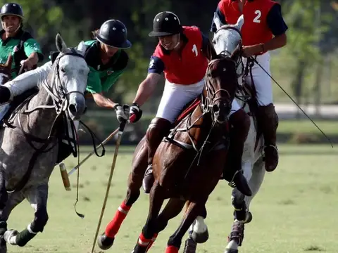 Terreno en Venta de 1123,0 m2