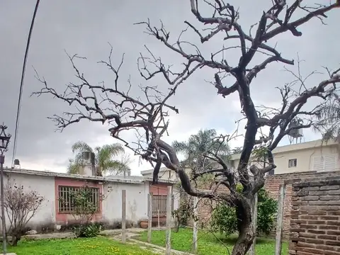 Amplio terreno con casas construídas
