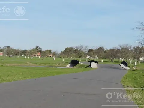 Terreno en Venta de 1197,0 m2