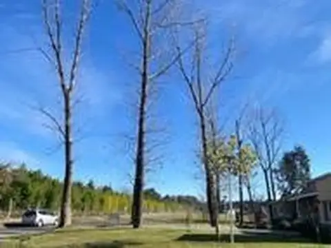 Terreno en Venta en El Aljibe, USD 52.700