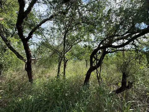 Terreno en Venta en Cruz de Caña, USD 8.000