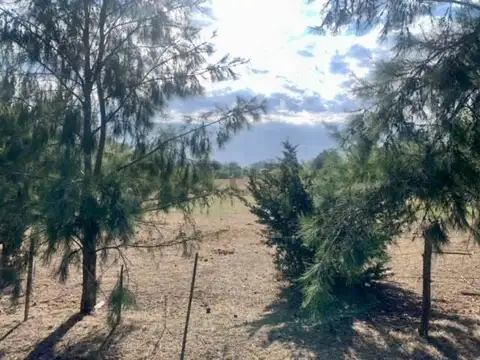 Venta de Lote en City Bell  -  Apto Desarrollo 