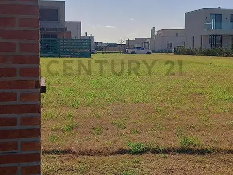 Av de la Cultura 100