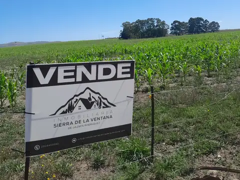 CAMPO EN  Peralta, Provincia de Buenos Aires,