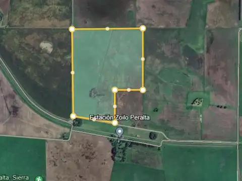 CAMPO EN  Peralta, Provincia de Buenos Aires,