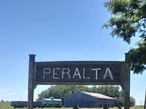 Campo  En Peralta 77 H