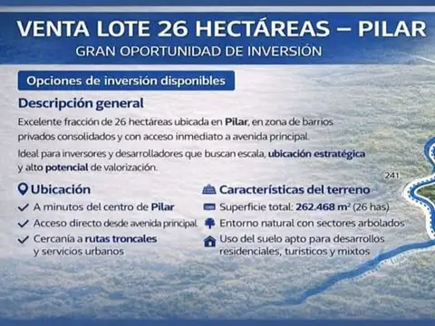 VENTA LOTE 26 HECTAREAS PILAR GRAN INVERSION