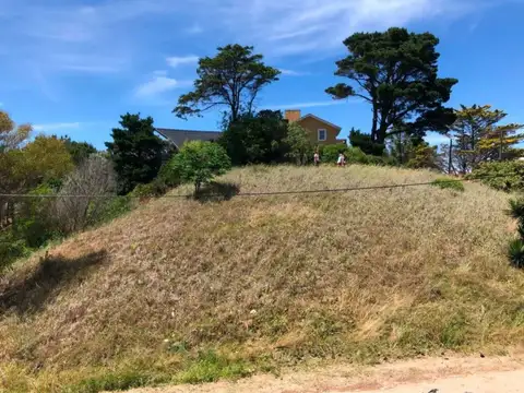 Avenida Martin Pescador y Del Hipocampo