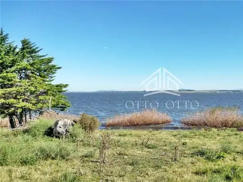 Campo en Venta Chacra