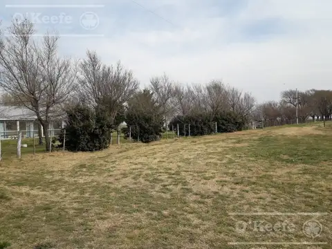 Campo Mixto een venta 292 has  Carlos Tejedor sobre Ruta 226