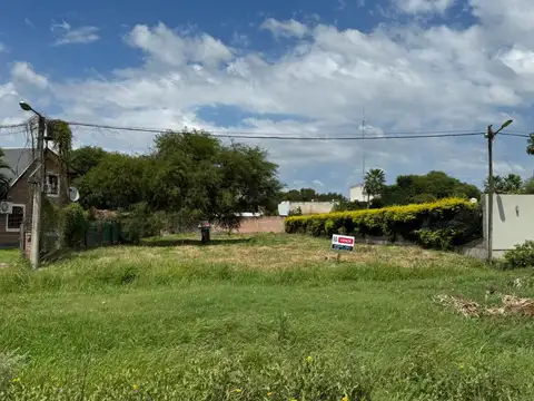 Colectora Ruta 16 100