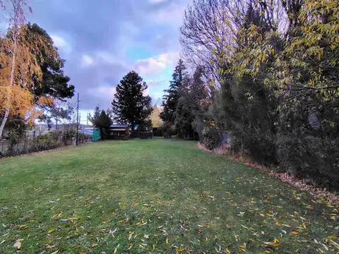 Martín Pescador 100