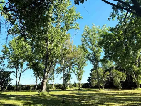 Terreno en Venta de 10500,0 m2