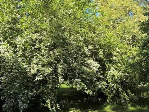 Terreno en Venta en Presidente Derqui, USD 290.000