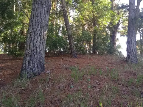 Terreno en Venta de 675,0 m2