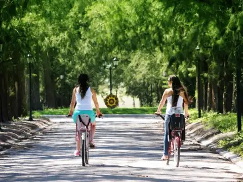 Terreno en Venta en Fighiera, USD 58.500