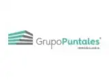 Grupo Puntales